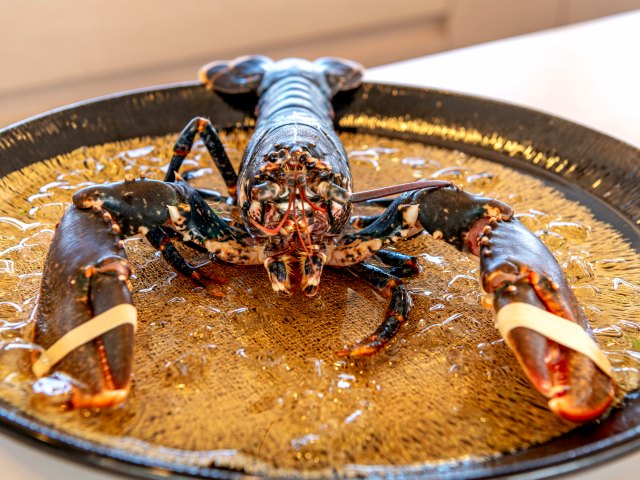 Fresh lobster