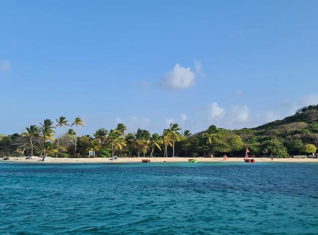 Palm-lined crescent of Salt Whistle Bay, Mayreau